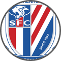 Shanghai Shenhua - Team Logo