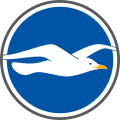 Brighton & Hove Albion - Team Logo