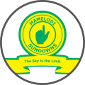 Mamelodi Sundowns - Team Logo