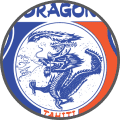 Dragon - Team Logo