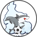Rivers United - Team Logo