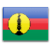 New Caledonia - National Flag