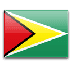 Guyana - National Flag