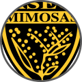 ASEC Mimosas - Team Logo